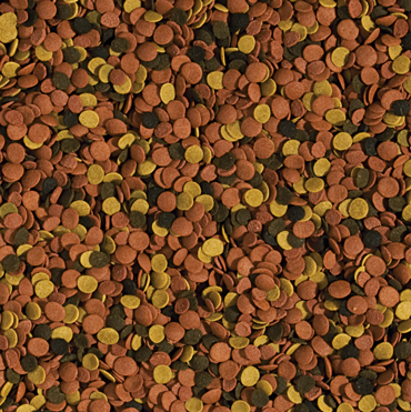 TROPICAL SuperVit Chips 250ml na Arena.pl