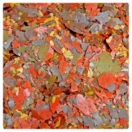 Zestaw 3 karm Glopex w pojemnikach 1000 ml Basic Eigelb i Vegetal mix na Arena.pl