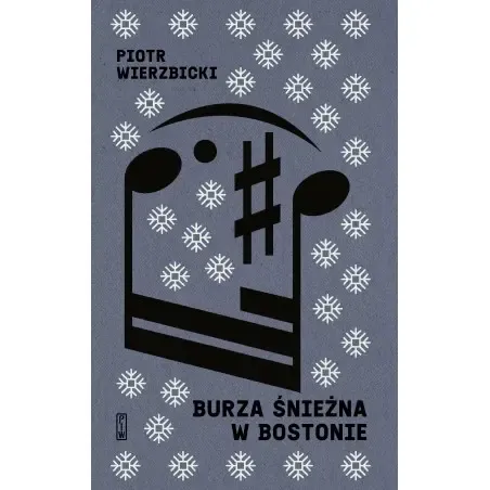 Burza śnieżna w Bostonie zdjęcie 1