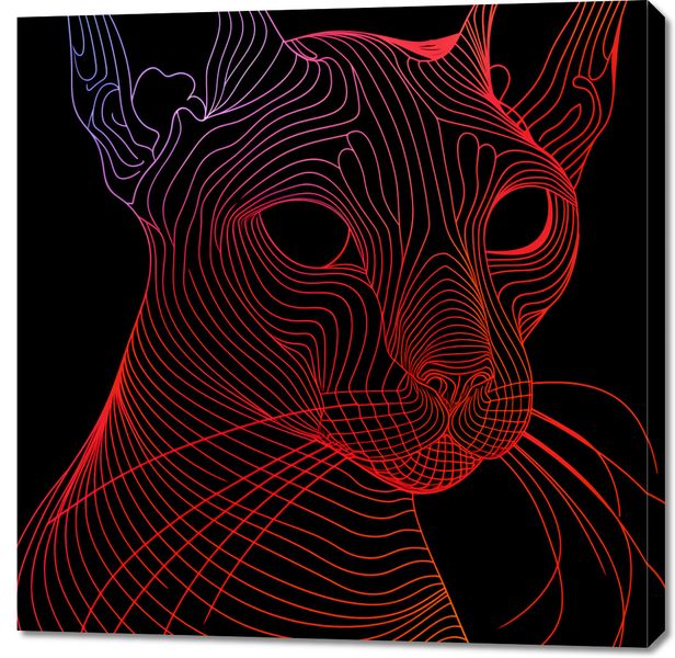 Obraz 100x100cm Cyfrowa Kocica zdjęcie 1