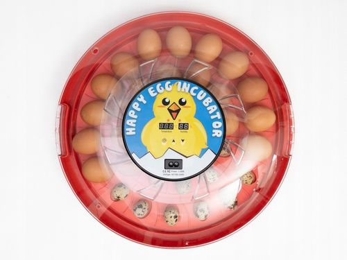 Wysokiej jakości AUTOMATYCZNY INKUBATOR na 30 jaj na Arena.pl