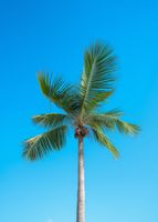 Plakat 39,5x55cm Wyżyny Nieba