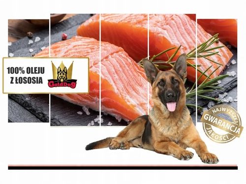 Olej z Łososia 1l dla psa i kota GoldDog na Arena.pl