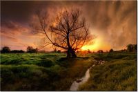 120CM 80CM OBRAZ ŚCIENNY ROMANTYCZNY SPACER