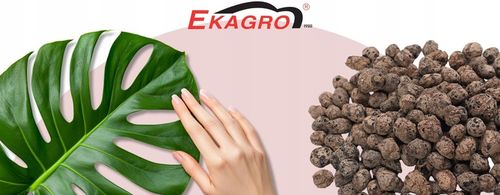 Keramzyt Ogrodniczy 50L 10-20 mm 15KG Drenaż do Warzyw Roślin na Arena.pl