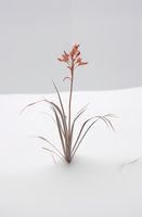 product-compare-59356745