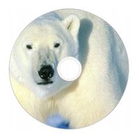 Nadruk na płycie Maxell DVD-R 4,7G 16x 038