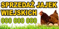 BANER REKLAMOWY projekt 200x100 cm SPRZEDAŻ JAJEK