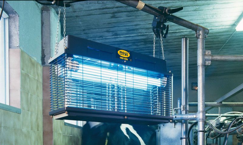 Lampa Rażąca CRI CRI 307A Professional zdjęcie 5