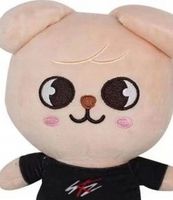 SKZOO Maskotka PUPPYM Stray Kids Pluszak PIES piesek PLUSZOWY K-POP z PL