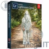 ADOBE LIGHTROOM 2024 - Licencja Wieczysta (LifeTime) - Windows - Licencja Biznes - BOX (USB)