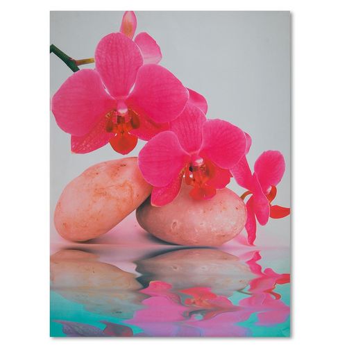 Deco Panel, Woda kamyki orchidee 60x80 na Arena.pl