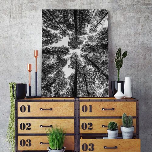 Deco Panel, Czubki drzew 60x90 na Arena.pl