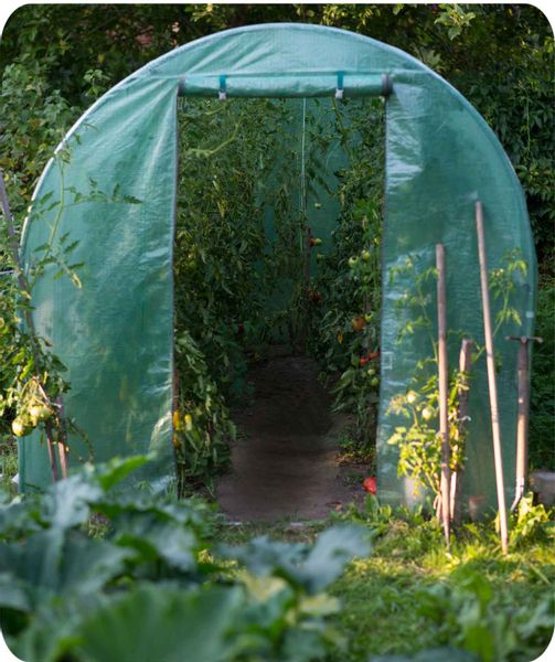 Tunel ogrodowy 2x3,5 m (7m2) Plonos zdjęcie 3