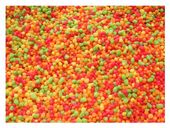 10L KULKA pływająca karma pasza pokarm dla ryb koi stawowych oczko