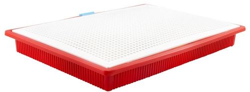 Układanka grzybki na Arena.pl