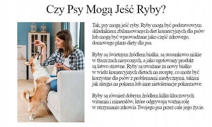 Natural Kitty Premium 100% Tuńczyk x 3 zdjęcie 9