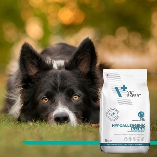 Sucha karma dla psów z alergią Vet Expert Hypoallergenic Ultra z rybą na Arena.pl