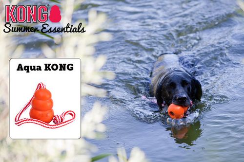Kong Aqua L na Arena.pl