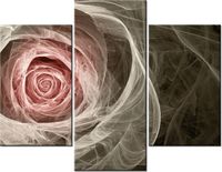 product-compare-58712442