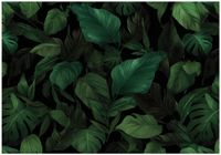 Fototapeta Na Flizelinie Do Sypialni Salonu Liście 350x250