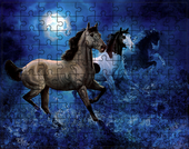 Puzzle Konie