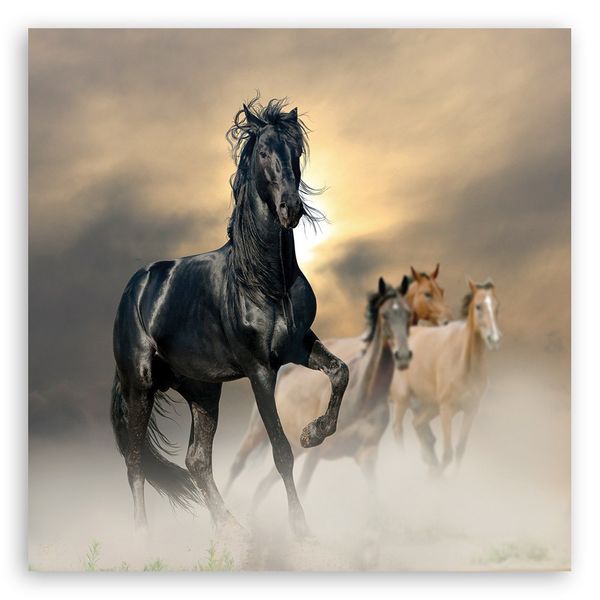 Emaga Obraz na płótnie, Stado koni - 50x50 zdjęcie 3