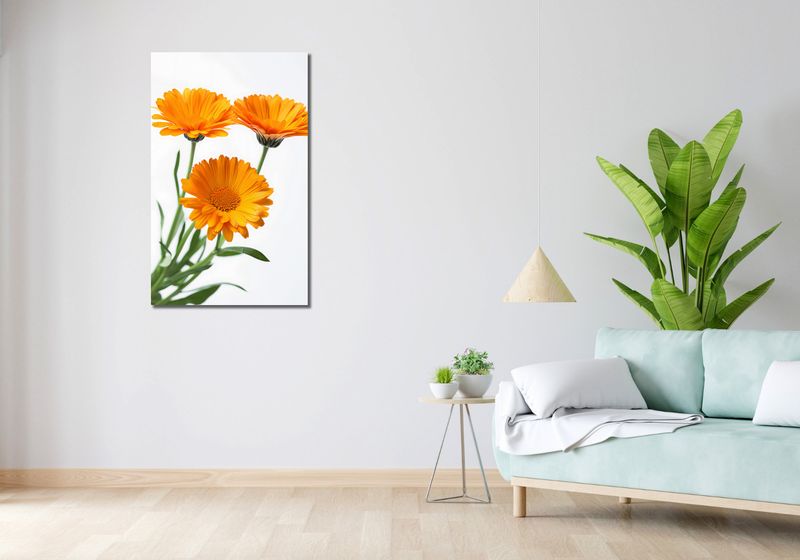 Obraz 60x100cm Słoneczne Kalendule zdjęcie 2