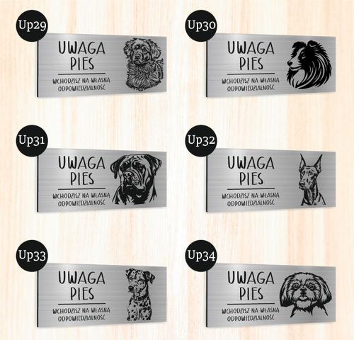 Tabliczka dibind uwaga pies Bulterrier 20x10 cm NADRUK UV na Arena.pl