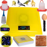 INKUBATOR KLUJNIK WYLĘGARKA JAJ WYLĘGU 88 JAJ GRATIS