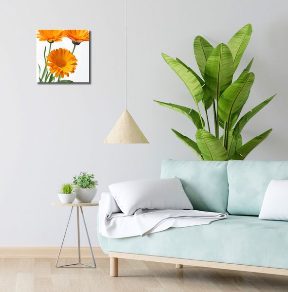 Obraz 30x30cm Słoneczne Kalendule zdjęcie 2