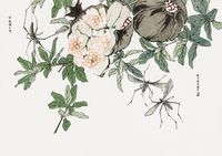 Plakat 42x29,7cm Owoc Granatu Morimoto Toko Japoński Vintage do Salonu