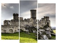 product-compare-58672235