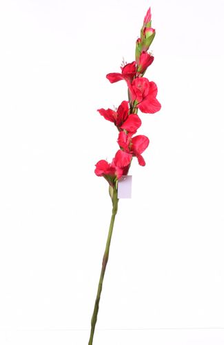 Mieczyk czerwony 84cm na Arena.pl