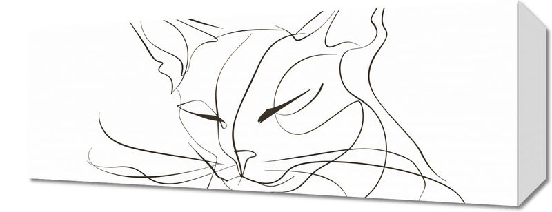 Obraz 50x20cm Linijny Kot zdjęcie 1