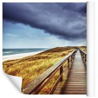 Fototapeta Plaża Piasek ROŚLINY Wydmy do Salonu 270x180