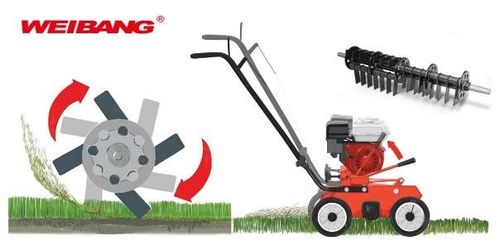 WEIBANG WB486CRB WERTYKULATOR SPALINOWY DO TRAWY PROFI PROFESJONALNY Briggs&Stratton WB486 / WB 486 -  EWIMAX - OFICJALNY DYSTRYBUTOR - AUTORYZOWANY DEALER WEIBANG na Arena.pl