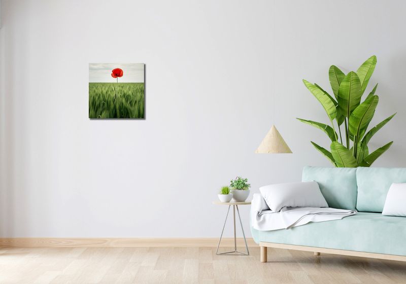 Obraz 40x40cm Samotny Mak na Polu zdjęcie 2