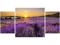 80X40CM POLE LAWENDY TRÓJ OBRAZ