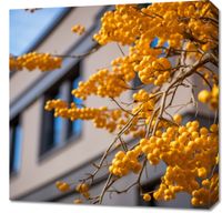 Obraz 60x60cm Złote Jagody