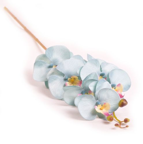 STORCZYK POJEDYNCZY na Arena.pl