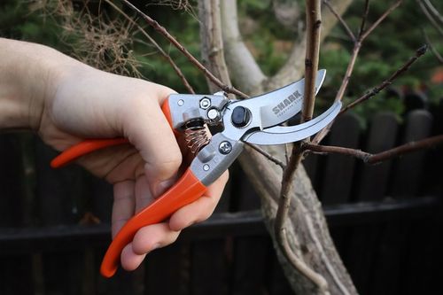 SEKATOR DO GAŁĘZI I KRZEWÓW OGRODOWY SHARK G2 RĘCZNY NOŻYCOWY 20,5 cm lekki na Arena.pl