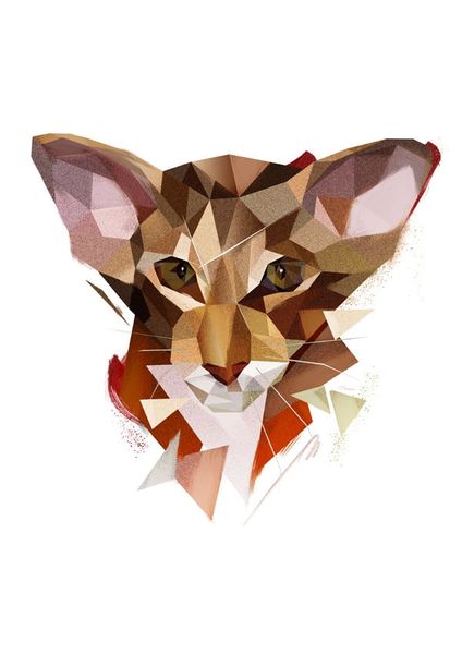 Kot - plakat 30x40 cm zdjęcie 1
