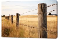 Obraz 100x70cm Płot na Polu