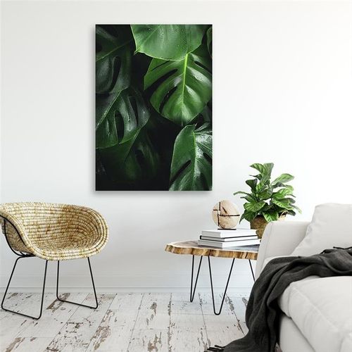 OBRAZ NA PŁÓTNIE Monstera Liście Natura 60x90 na Arena.pl