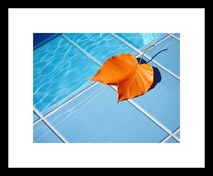 Plakat 20x15cm Liść przy Wodzie zdjęcie 3