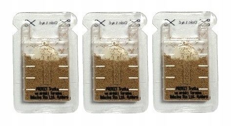 SILNY PROSZEK ŚRODEK PREPARAT TRUTKA NA MRÓWKI FARAONA PROTECT 3 SZT na Arena.pl