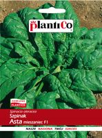 NASIONA Szpinak Asta Mieszaniec F1 10g PLANTICO 404519