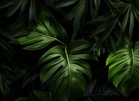 product-compare-59350669