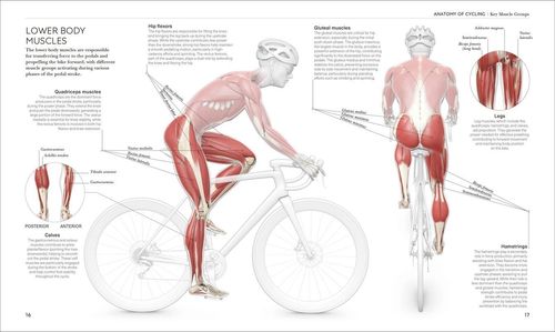 Science of Cycling - David Bailey na Arena.pl